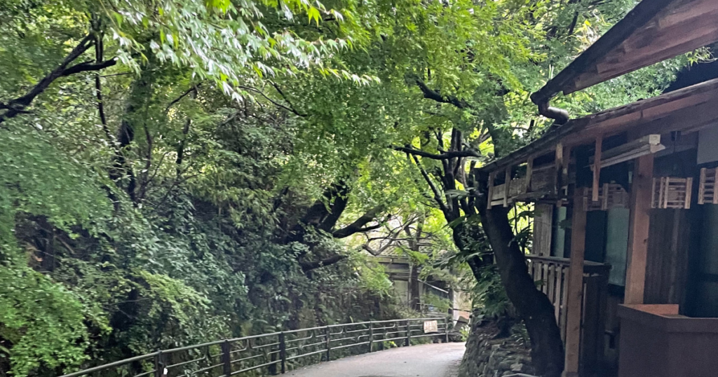京都三千院の参道
