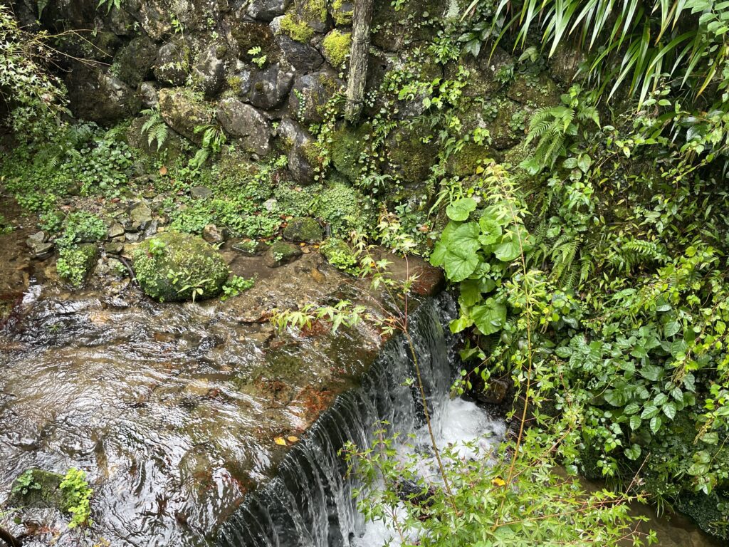 京都三千院の小川