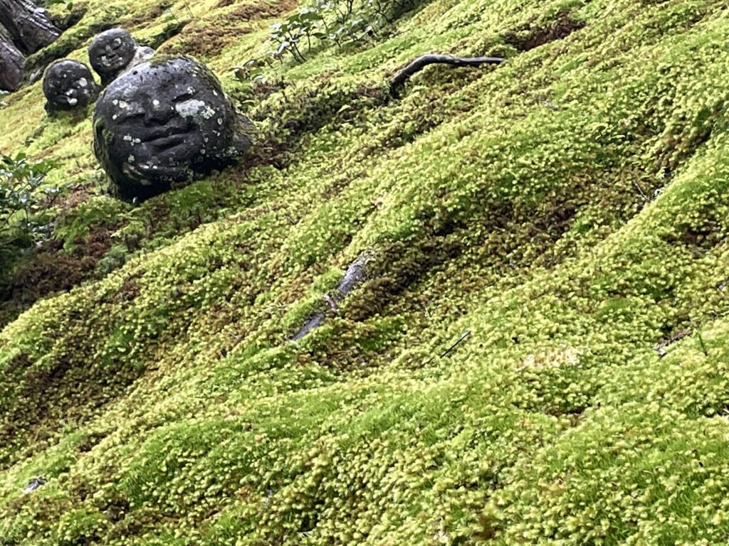 京都三千院の庭園